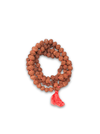10-Mukhi-Rudraksha-Mala