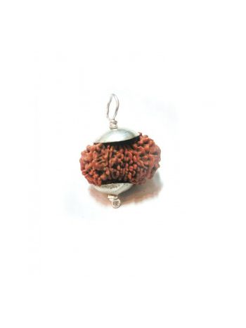 Natural 15 Mukhi Fifteen Faced Real Rudraksha Silver Pendant With Certificate (RUCP15-001)- (NEPAL)