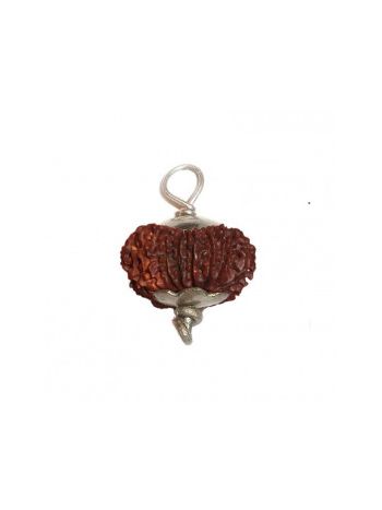 16 MUKHI (Sixteen Face) RUDRAKSHA  Silver Pendant With Certificate (RUC16-001)- (NEPAL)
