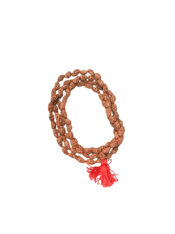 2-Mukhi-Rudraksha-Mala