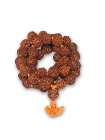 5-Mukhi-Rudraksha-Mala-Panchmukhi-Rudraksha-Mala