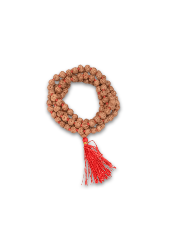 6-Mukhi-Rudraksha-Mala