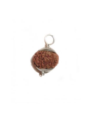 8 MUKHI RUDRAKSHA Silver Pendant With Certificate (RUCP08-002)- (NEPAL)