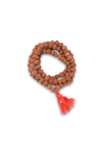 9-Mukhi-Rudraksha-Mala