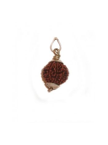 9 MUKHI RUDRAKSHA Silver Pendant With Certificate. (RUCP09-001)- (NEPAL)