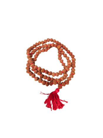 8 mukhi rudraksha mala