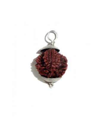 GARBH GAURI RUDRAKSHA Silver Pendant With Certificate (RUGGP-001)- (NEPAL)