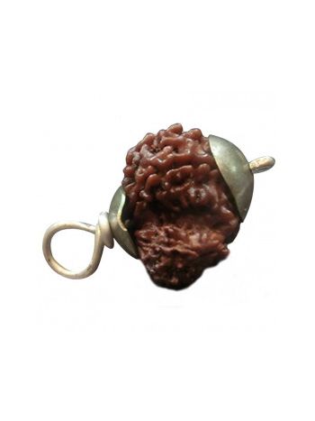 GARBH GAURI RUDRAKSHA Silver Pendant With Certificate (RUGGP-004)- (NEPAL)