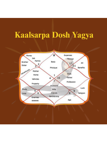 Kaalsarpa Dosh Yagya
