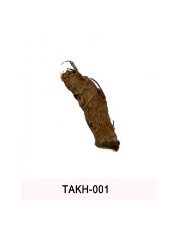 Kali Haldi (Black Turmeric) Original -1 Pcs (TAKH-001)