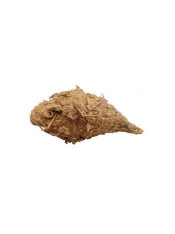 Kali Haldi (Black Turmeric) Original Superior-1 Pcs (TAKH-002)