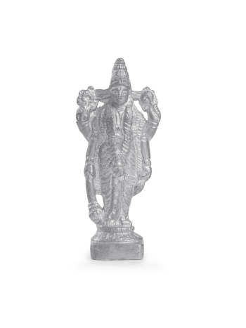 Parad-Lord-Vishnu-Ji