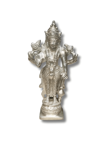 Parad-Lord-Narayan-Vishnu