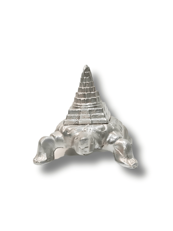 Parad-Shree-Kachap-Meru-Yantra
