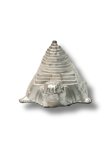 Parad-Shree-Kachap-Meru-Yantra