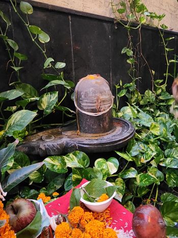 Rudrabhishek-pooja