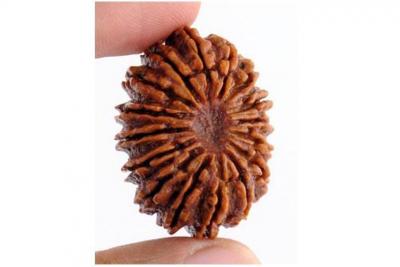 Confused with Rudraksha wearing rules, we shed some light on this