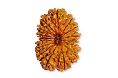 Need help, to buy rudraksha online that suits you