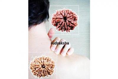 Care and rituals to conduct, for maximizing the rudraksha benefits