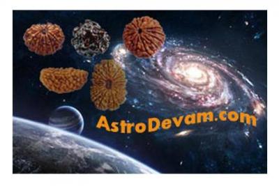 Association of rudraksha power with planet, Grahas