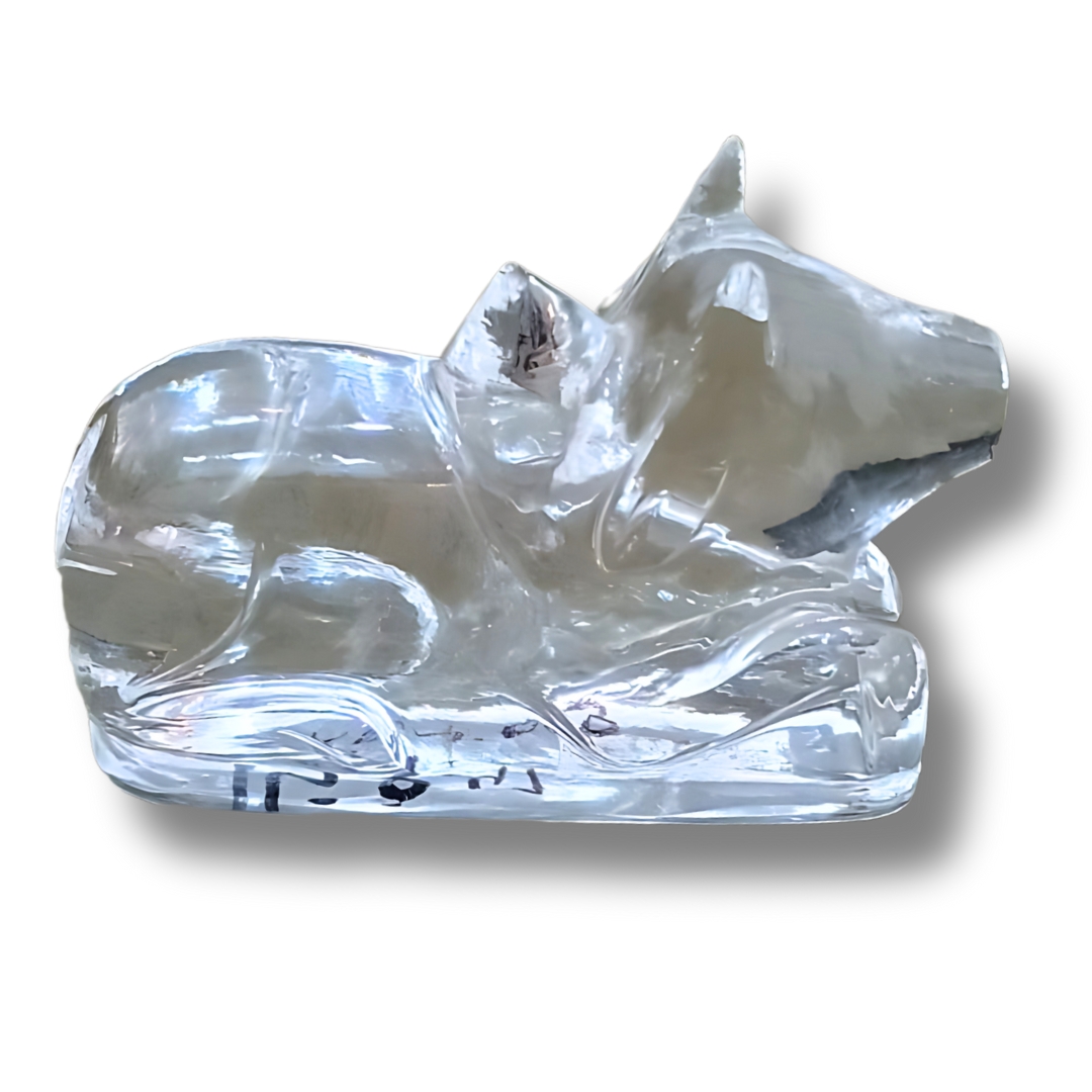Crystal Nandi