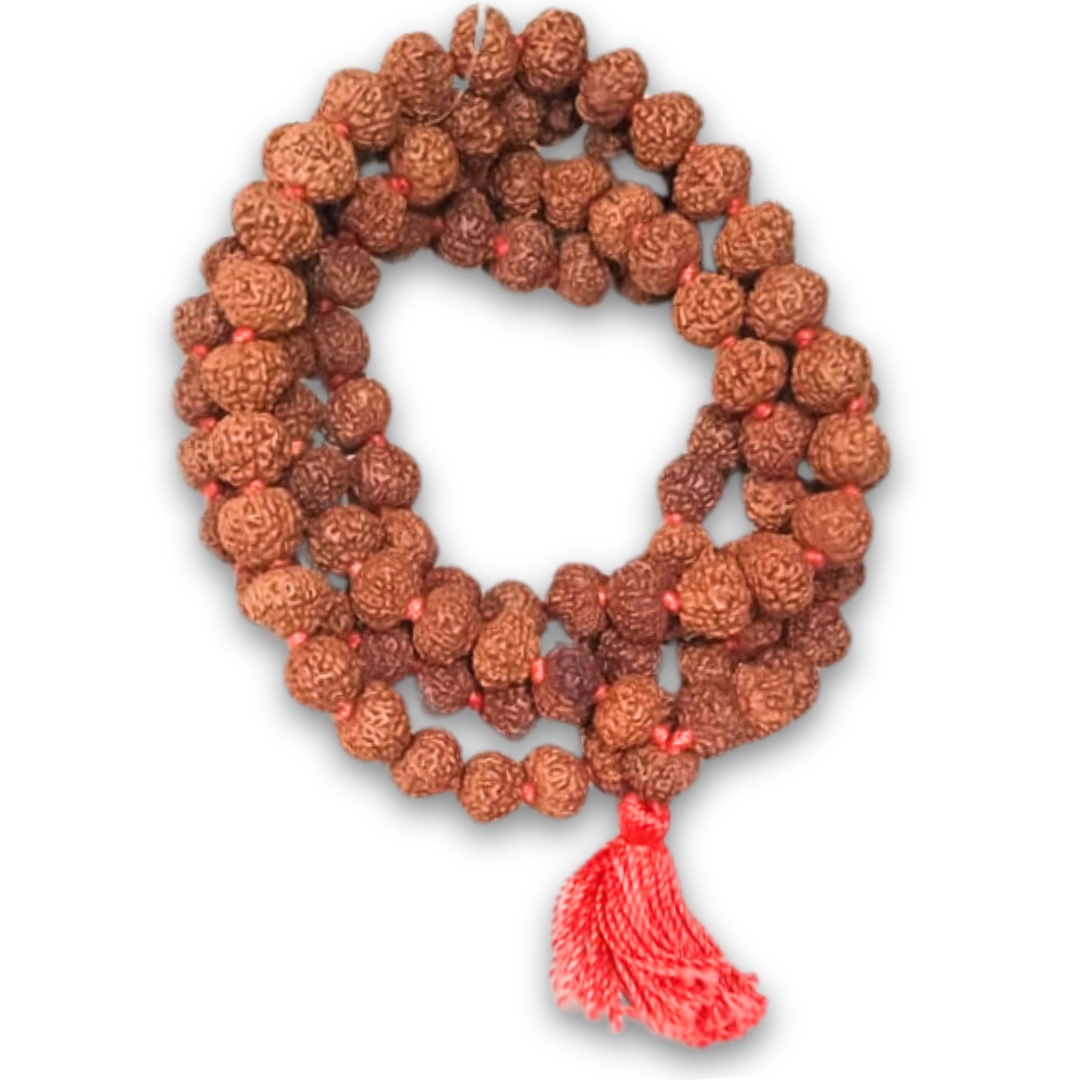 Rudraksha Mala/Rosaries