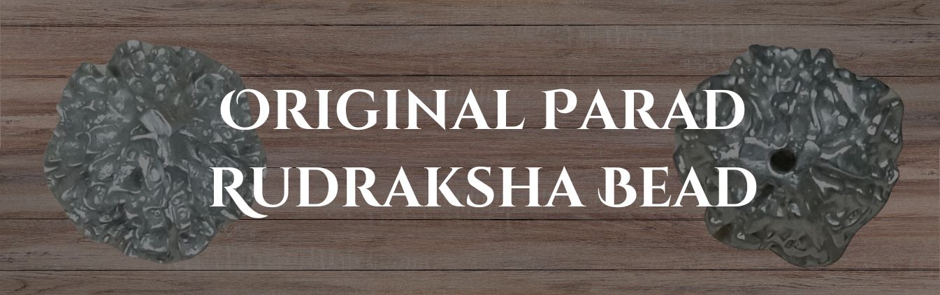 Parad Rudraksha Bead