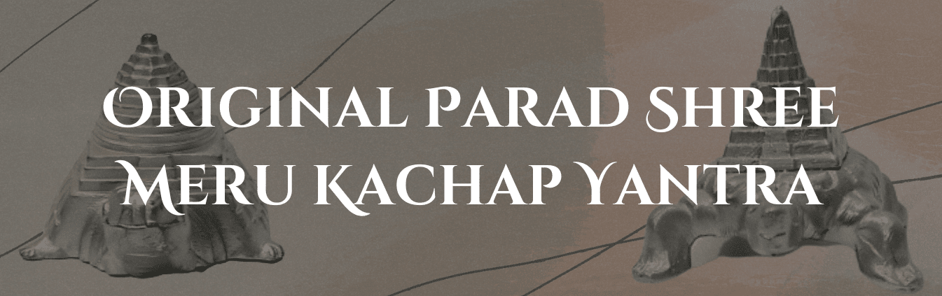 Parad Meru Kachap Shree Yantra