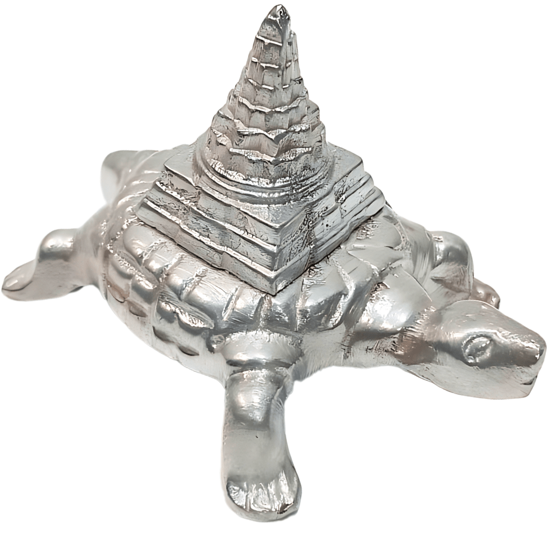 Parad Meru Kachap Shri Yantra