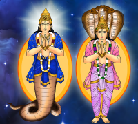 rahu-and-ketu-transit-report