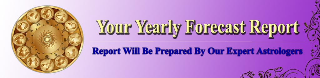 Yearly Report