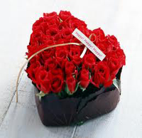 Remedies for Love & width=