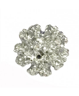 Parad Rudraksha Bead