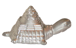 Parad (Mercury) Shri/ Shree Meru kachap Yantra
