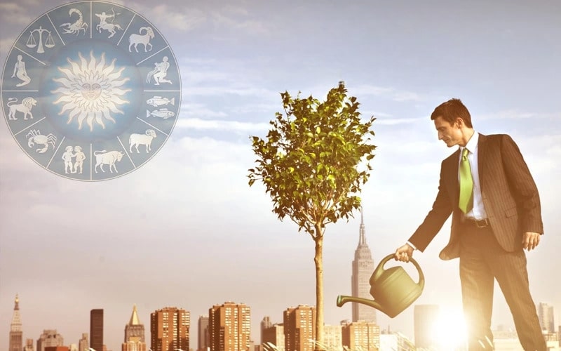 Remedies for Business Success